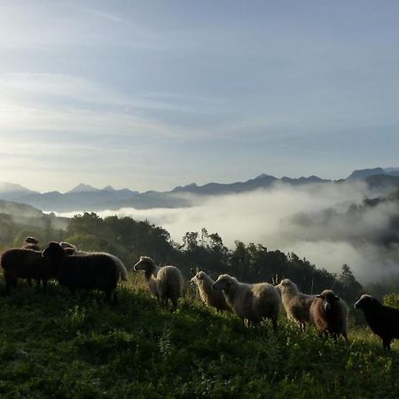 Hotel Posada Del Valle Collia ภายนอก รูปภาพ