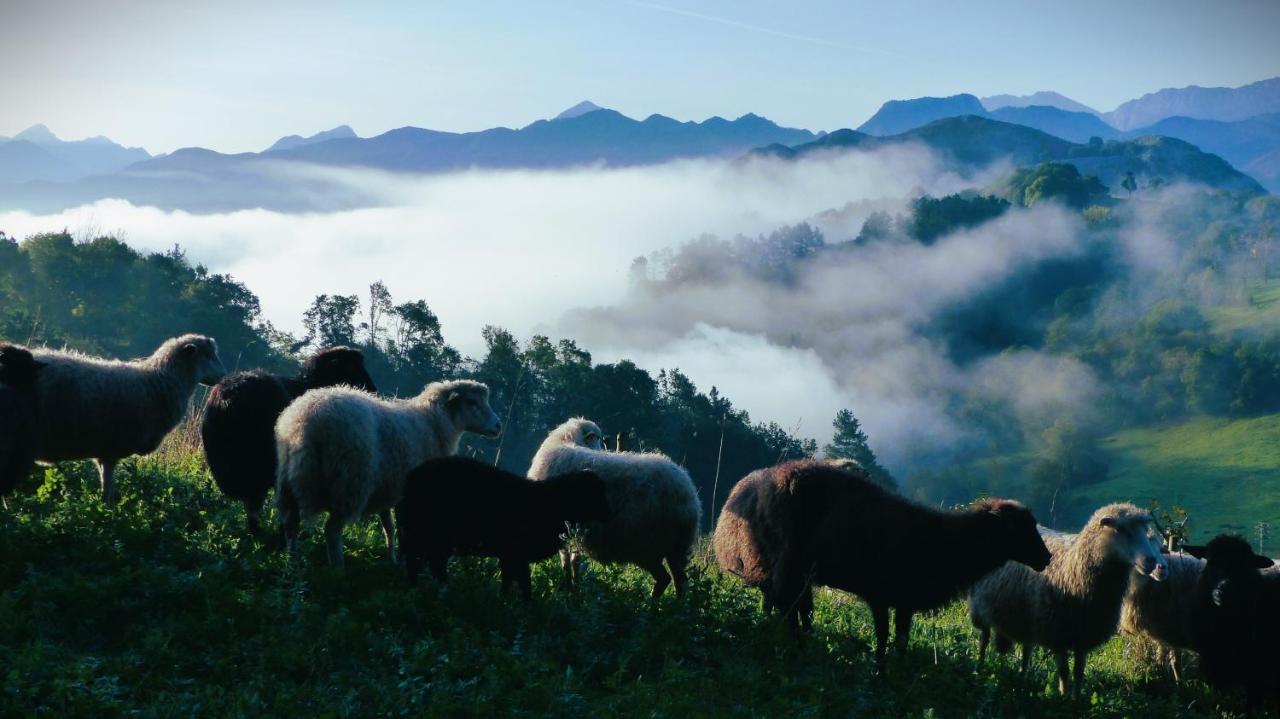 Hotel Posada Del Valle Collia ภายนอก รูปภาพ